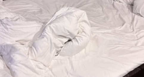 スクリーンショット 2026-02-02 1.04.50